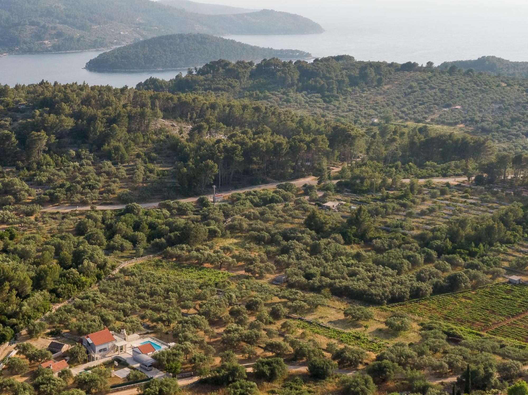 Villa Barbara - Olive Paradise, With Chlorine-Free Pool Vela Luka Kültér fotó